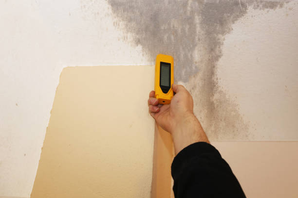 Best Mold Remediation for Healthcare Facilities  in Norton Shores, MI