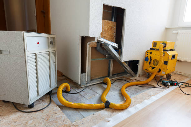 Best Real Estate Mold Inspection  in Norton Shores, MI